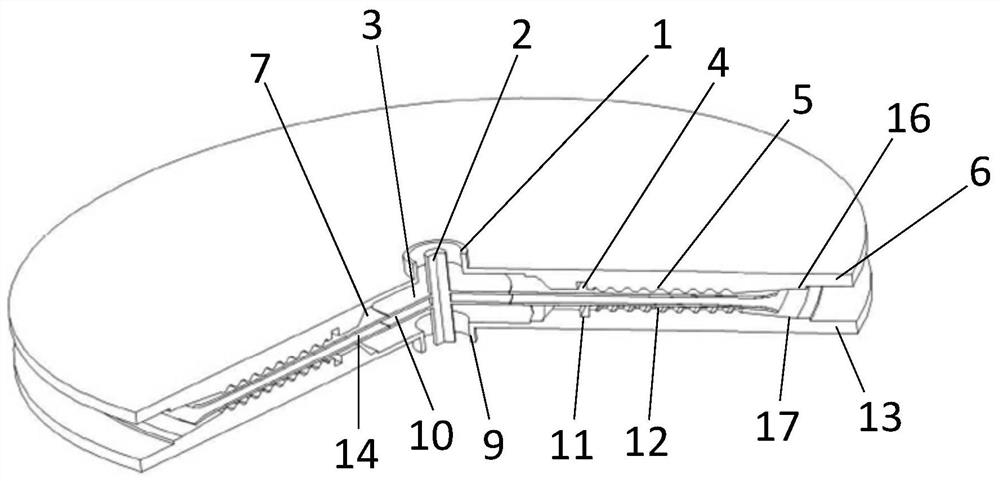 Double-electron-beam relativistic backward wave tube with radial structure