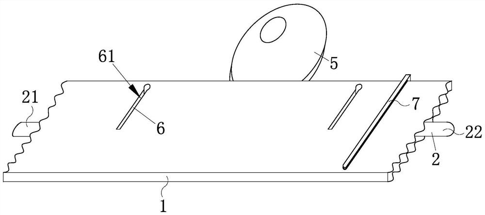 A high-strength transparent pet plastic sheet