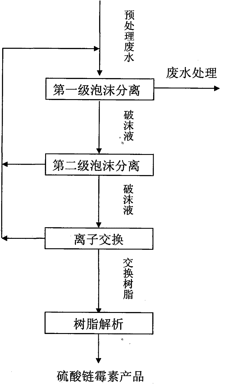 Process for recovering streptomycin sulphate from waste water by coupling foam separation and ion exchange