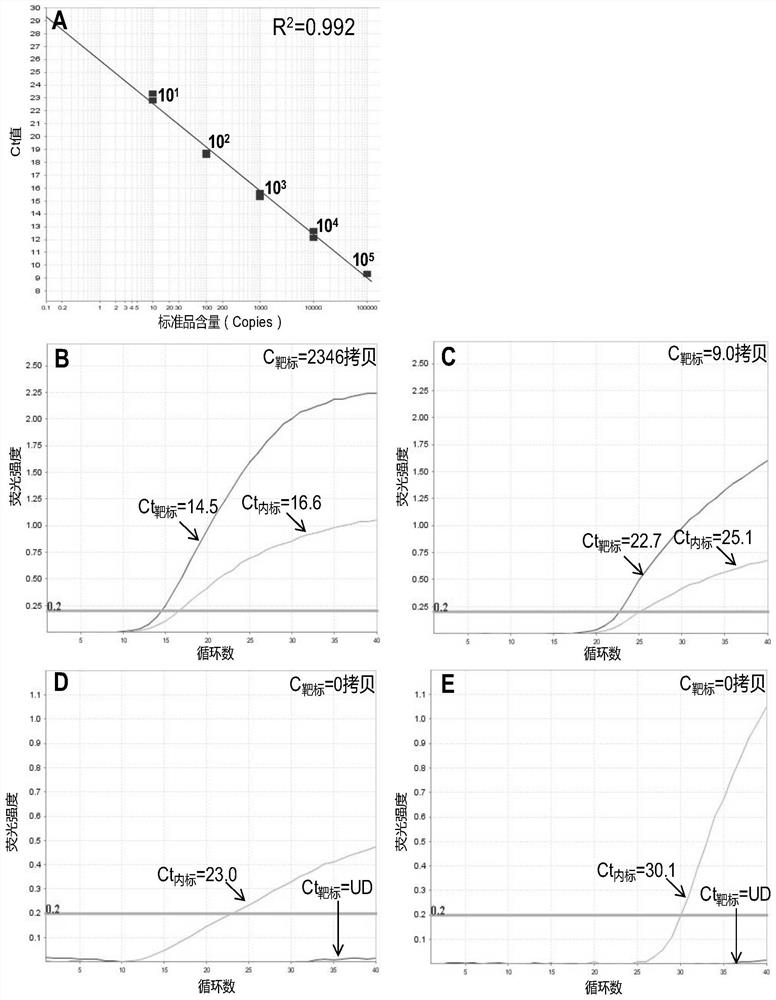 A DNA point mutation quantitative detection kit