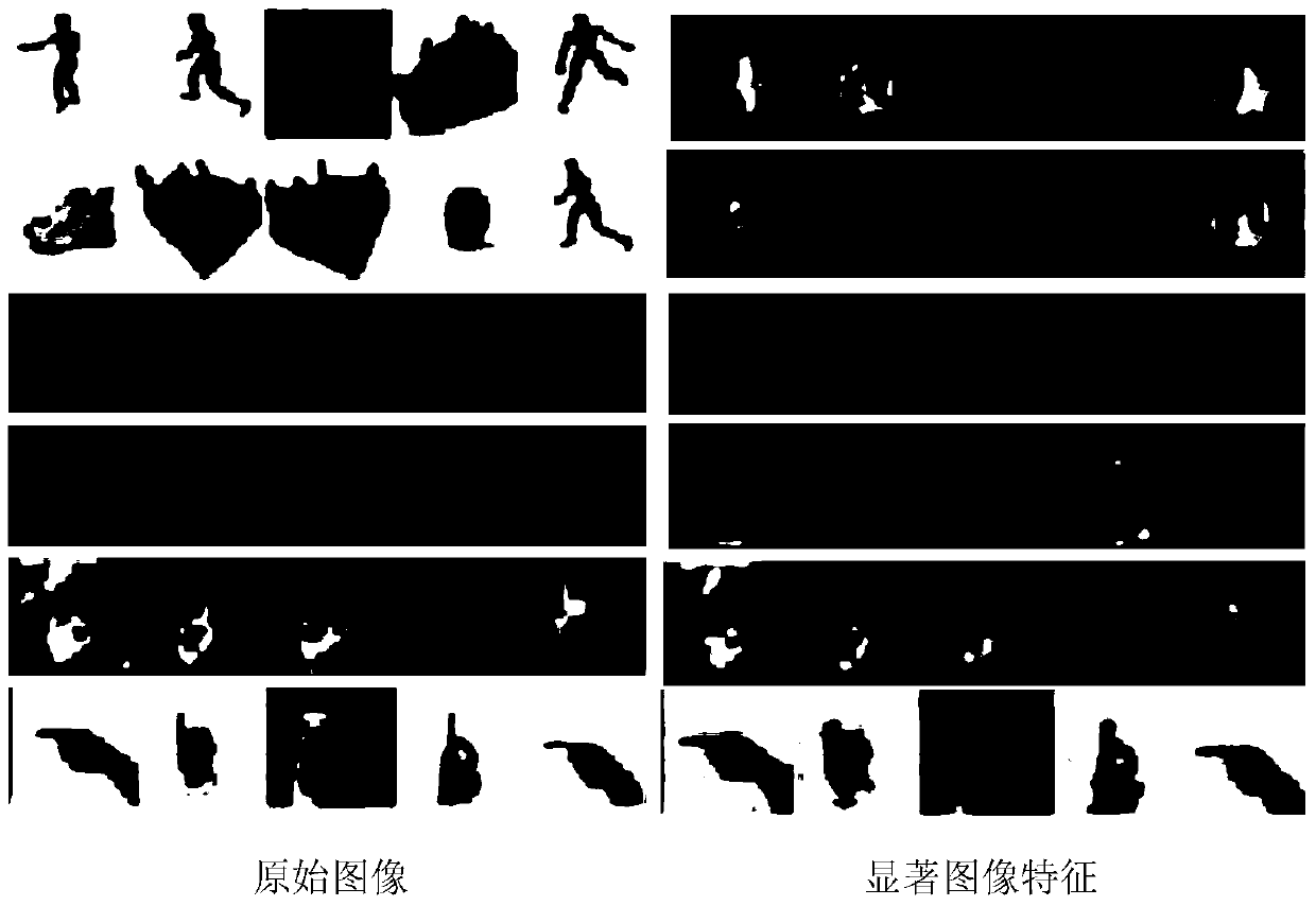 Nuclear norm regularization based low-rank image characteristic extraction identification method and system