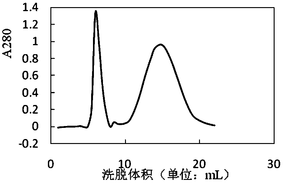 Method for detecting aeromonas hydrophila B11 through lutetium-europium co-luminescence time-resolved fluoroimmunoassay