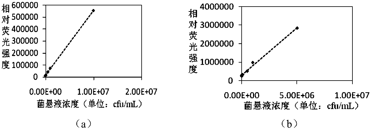 Method for detecting aeromonas hydrophila B11 through lutetium-europium co-luminescence time-resolved fluoroimmunoassay