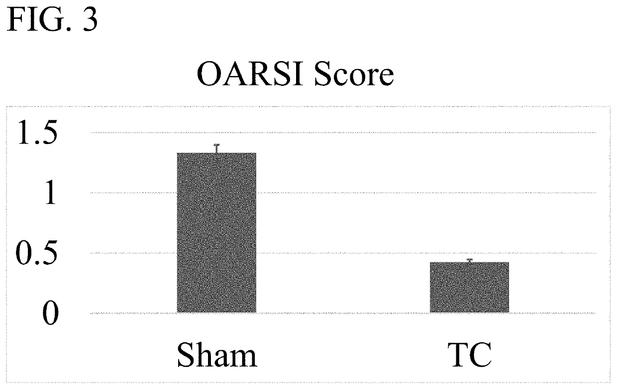 Compositions and Methods for Treating Pain with Wogonin