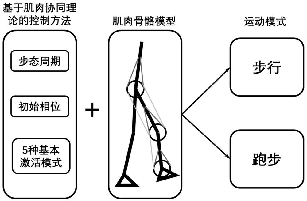 Control method and system for flexible exoskeleton robot based on muscle synergy theory