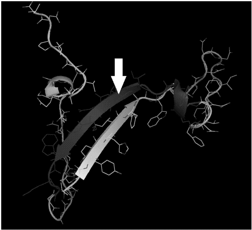 Litopenaeus vannamei haemocyanin antibacterial peptide and applications thereof