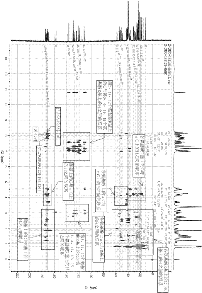 Litopenaeus vannamei haemocyanin antibacterial peptide and applications thereof