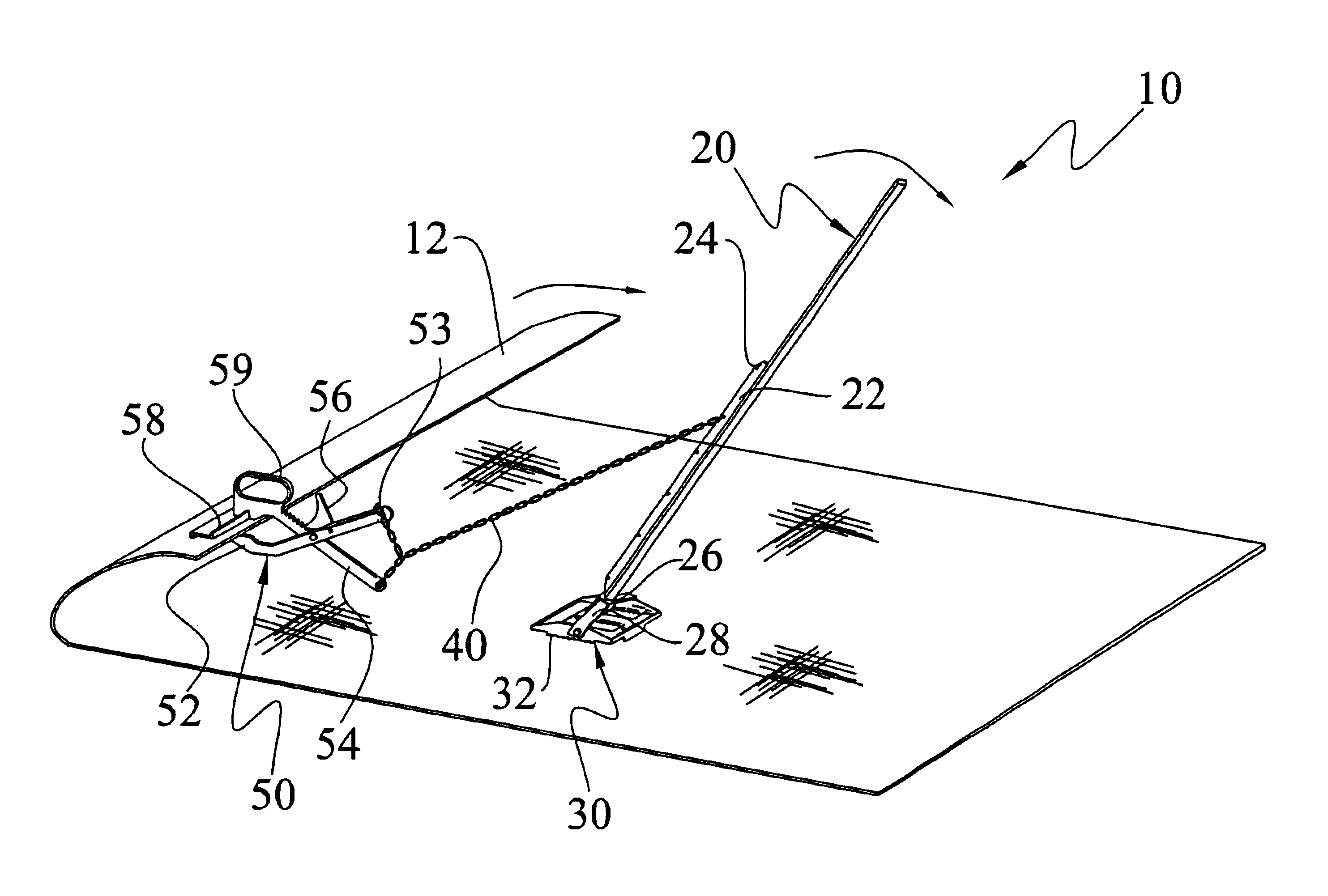 Carpet removal system