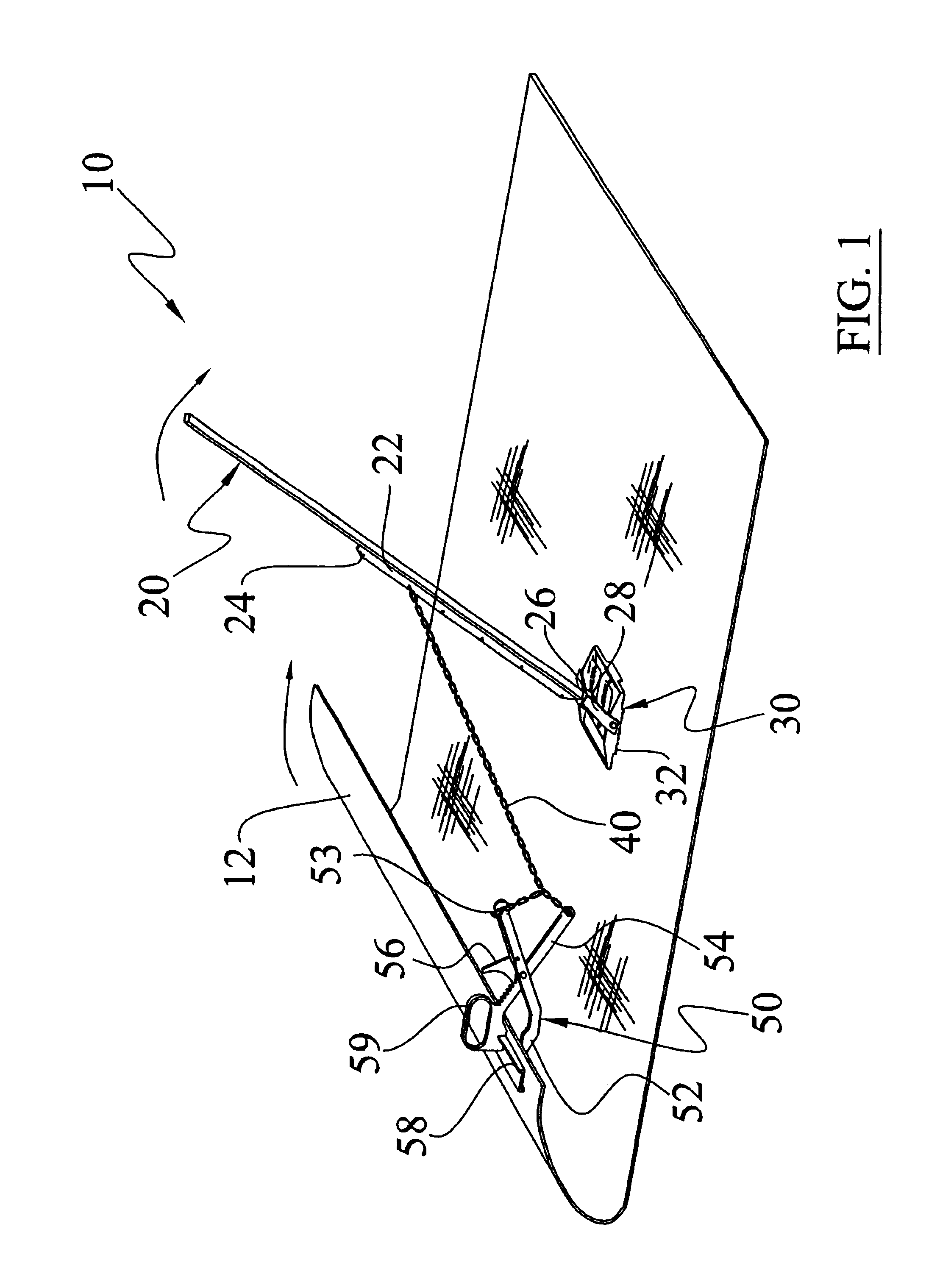 Carpet removal system