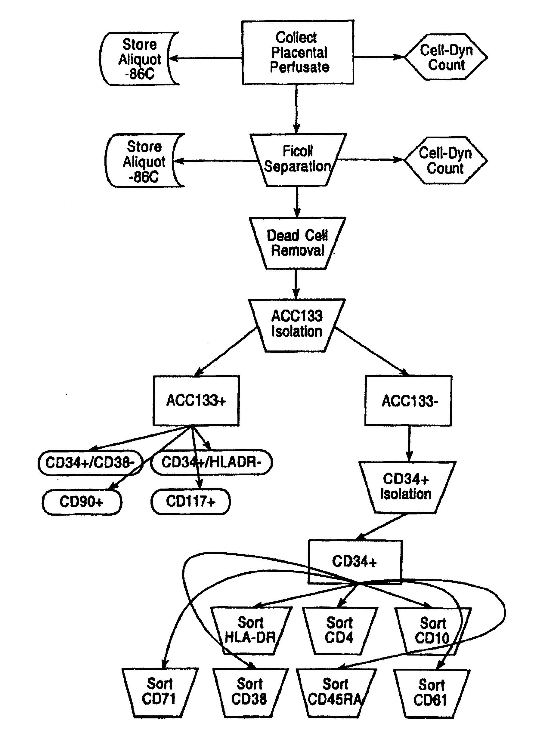 Tissue matrices comprising placental stem cells