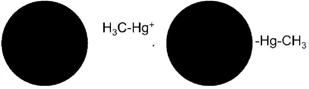 Rapid detection method of organic mercury in water environment