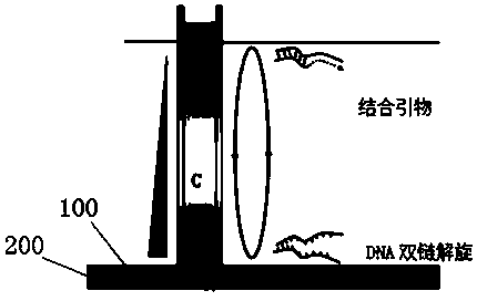 One-stage heat convection PCR instrument and control method