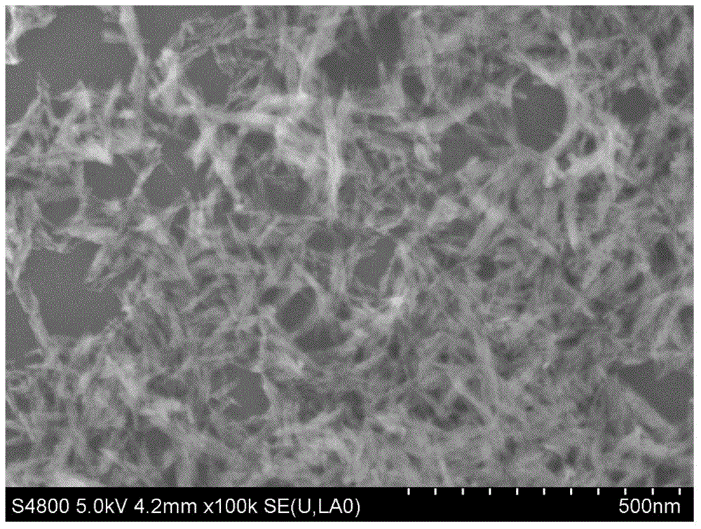 Sodium alginate-hydroxyapatite hybridization nano particle and preparing method thereof