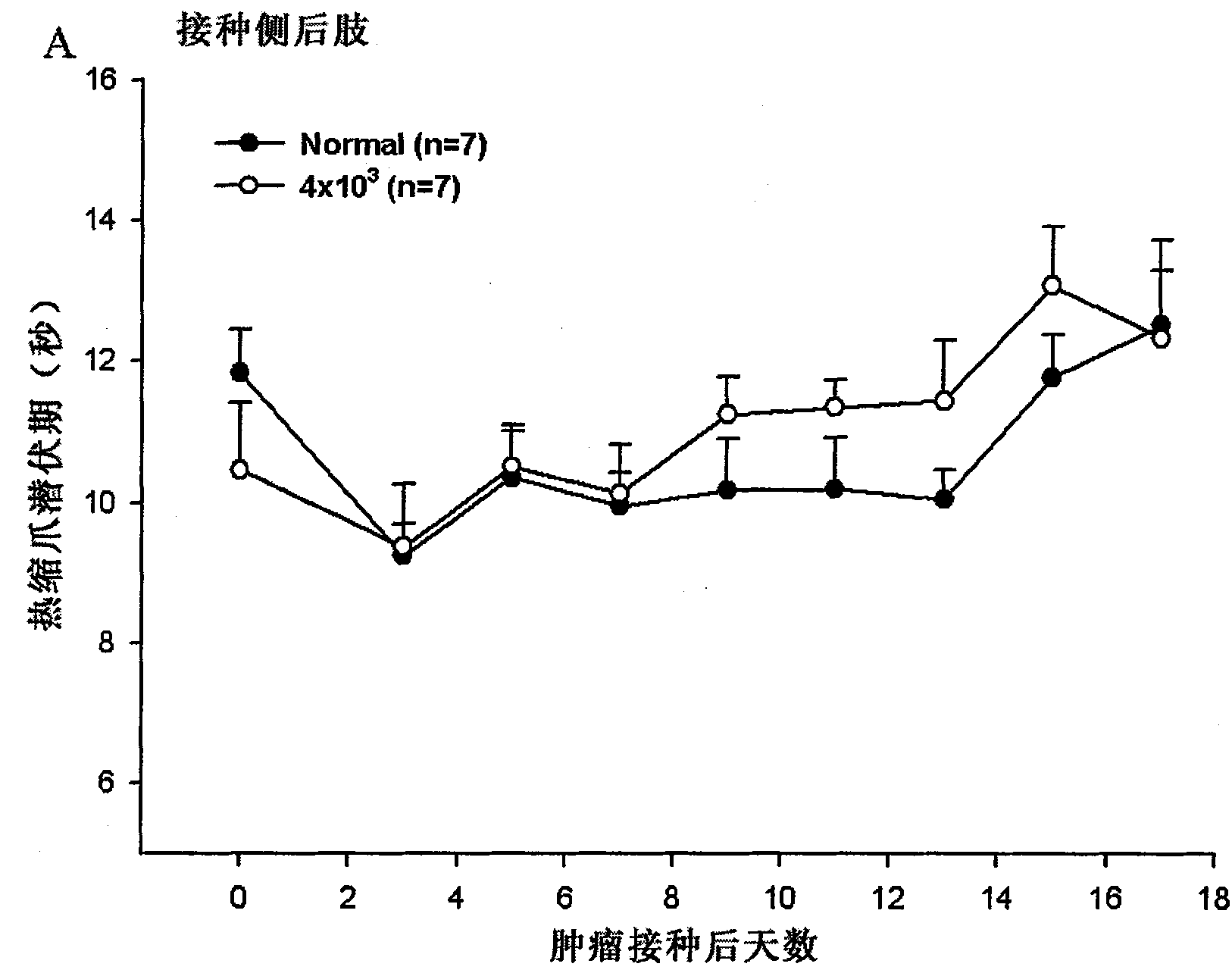 Application of ascites tumor cell in preparing bone cancer pain model