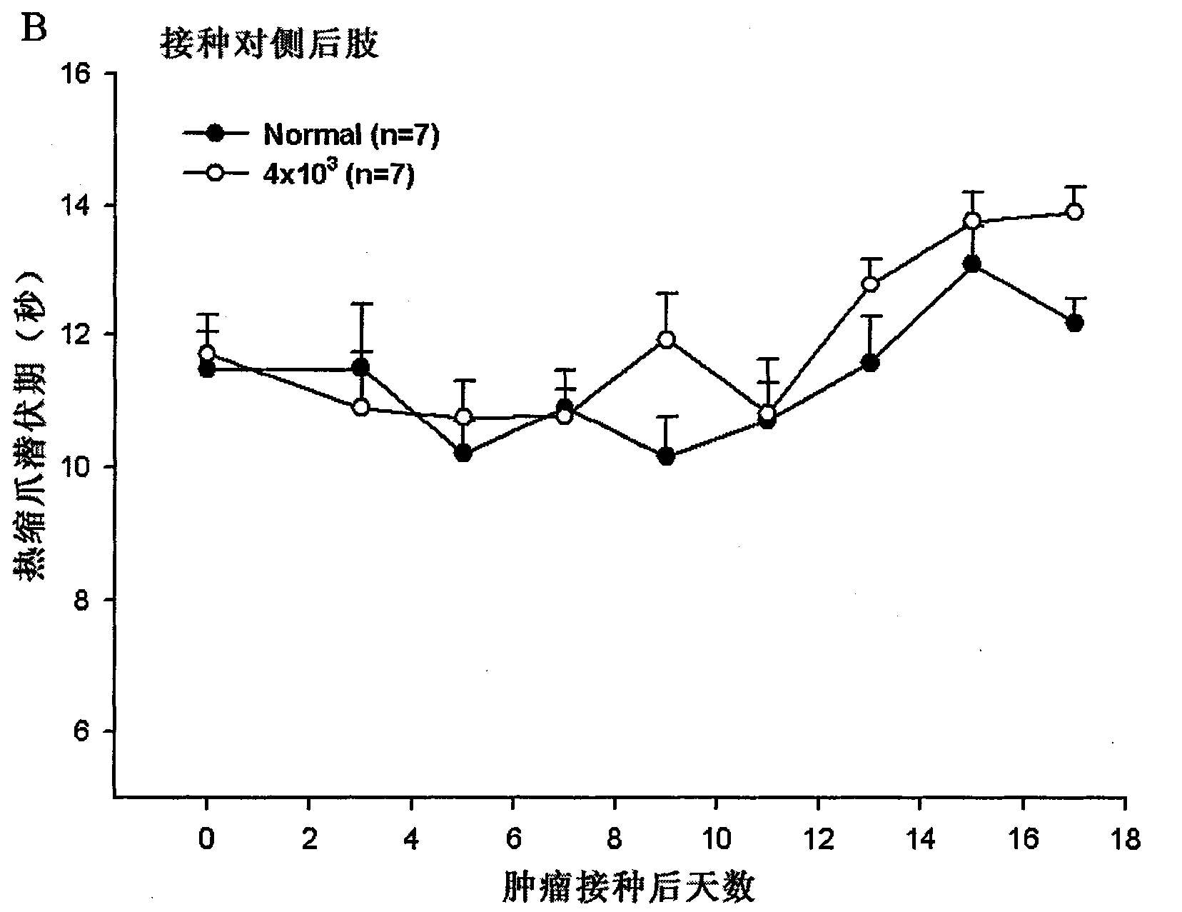 Application of ascites tumor cell in preparing bone cancer pain model