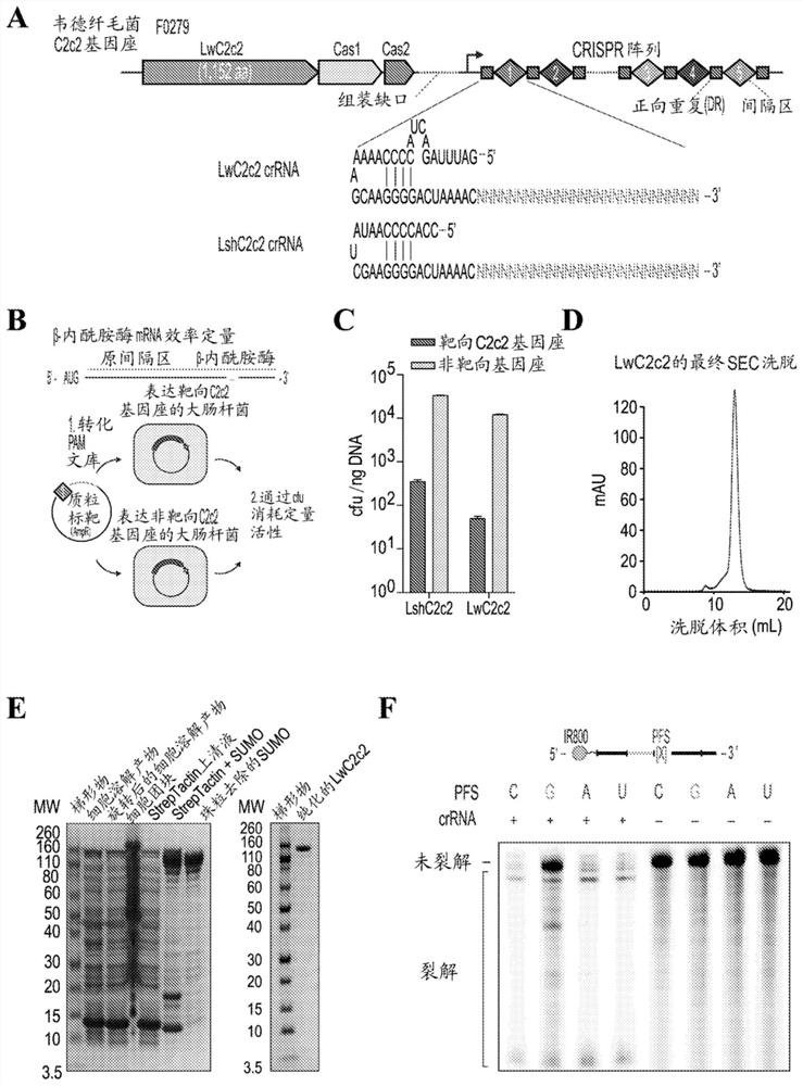 Crispr effector system based diagnostics