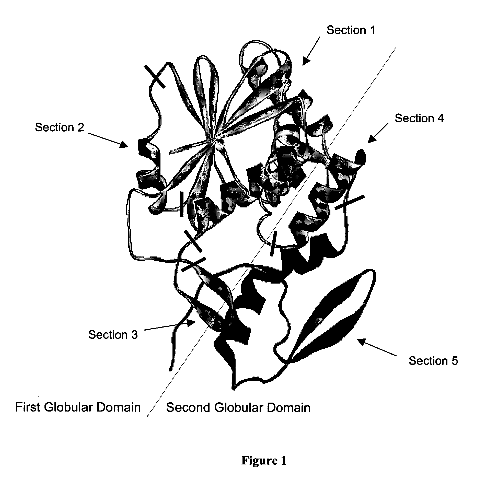 Ricin vaccine and methods of making and using thereof