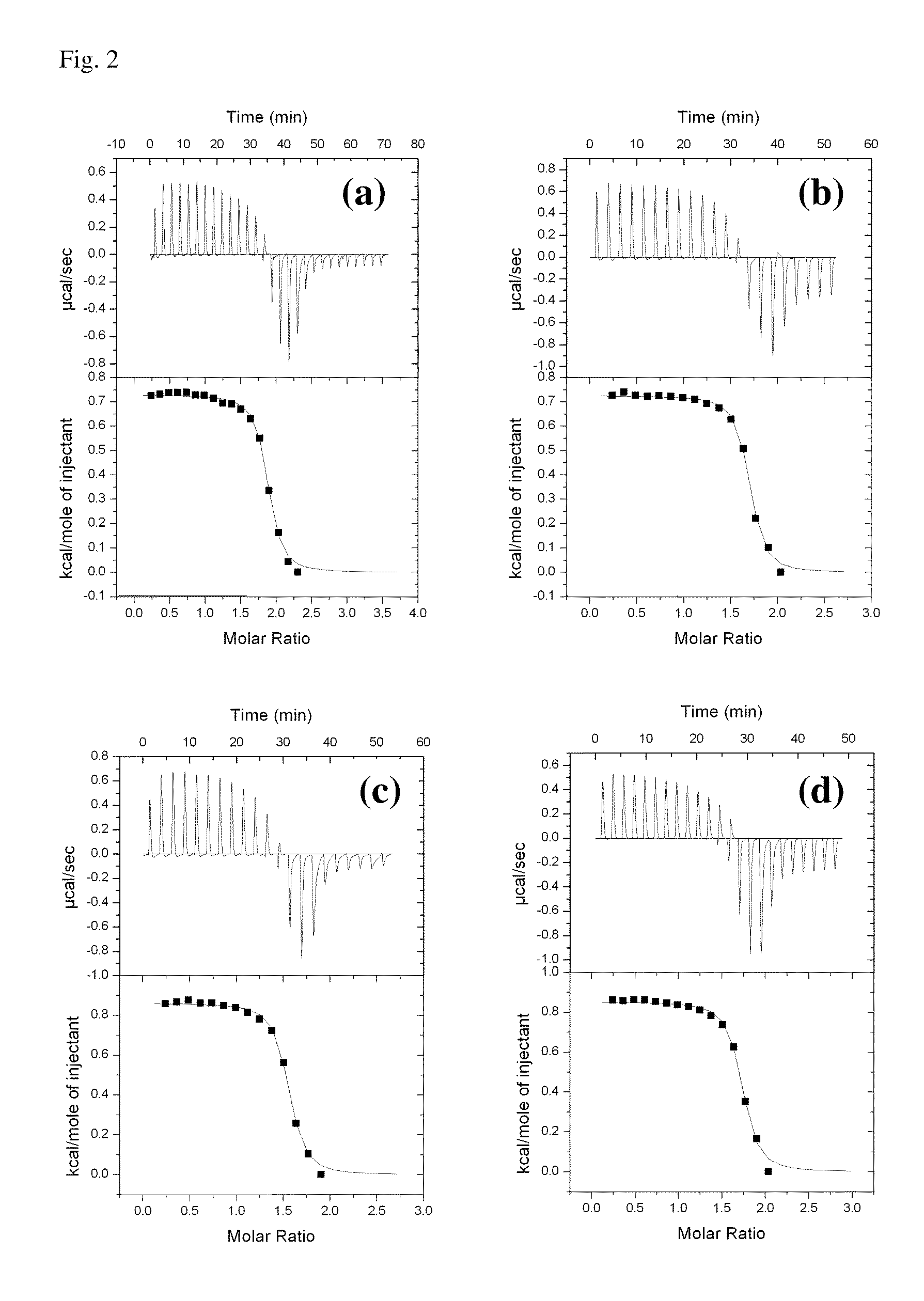 Trehalose click polymers for delivery of biologically active molecules