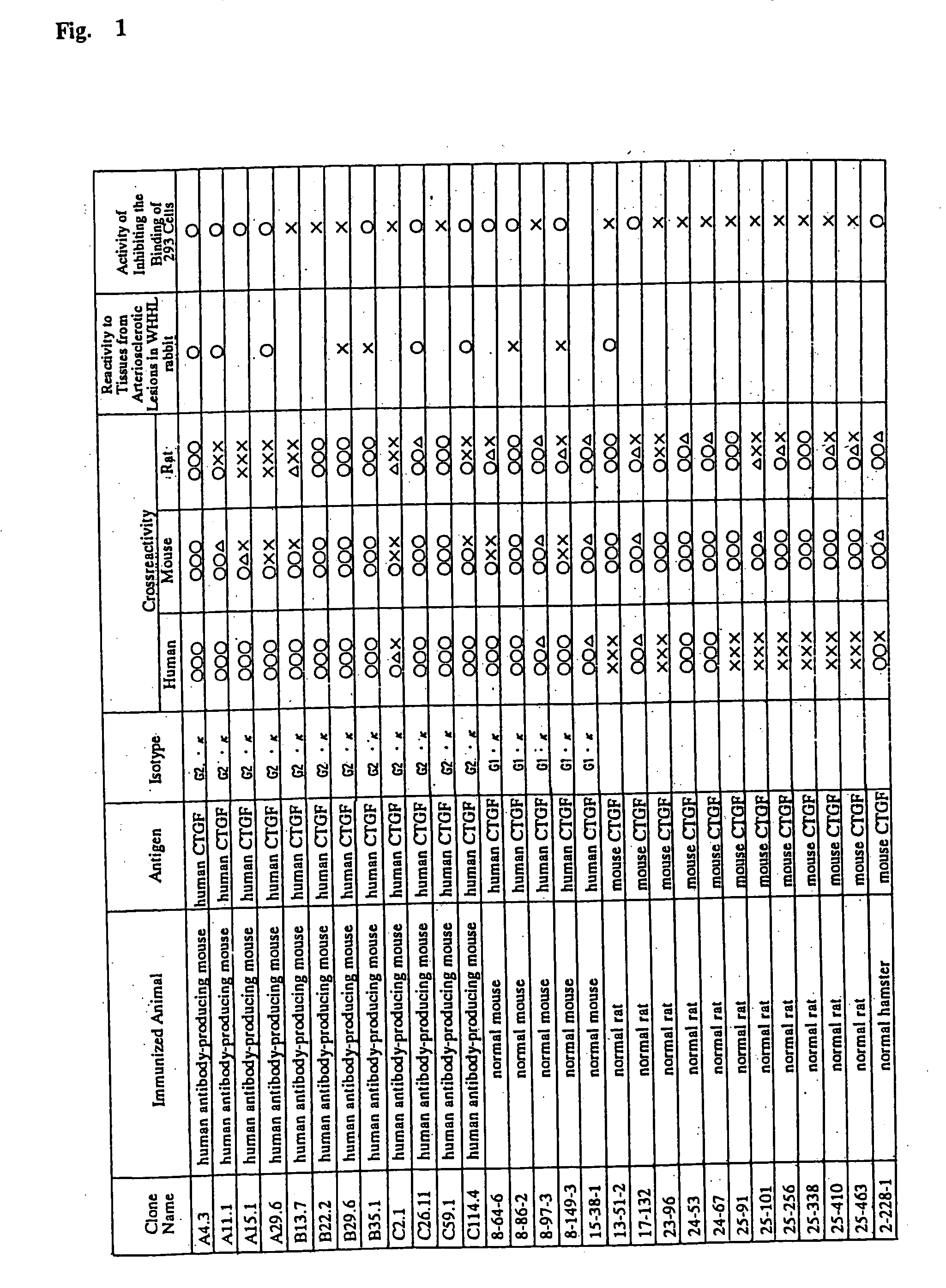 Monoclonal antibody against connective tissue growth factor and medicinal uses thereof