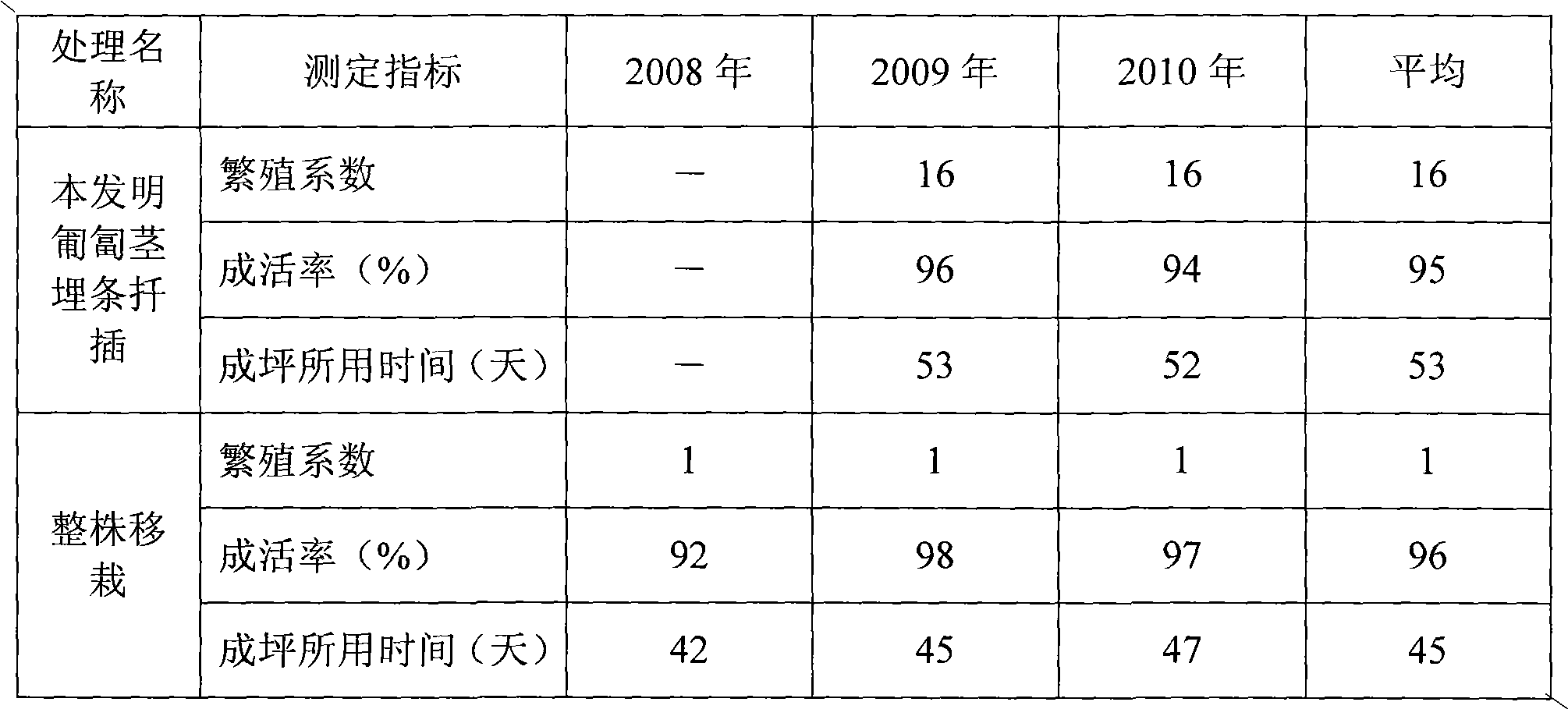 Method for planting green lawn by using stolons of Potentilla centigrana Maxim