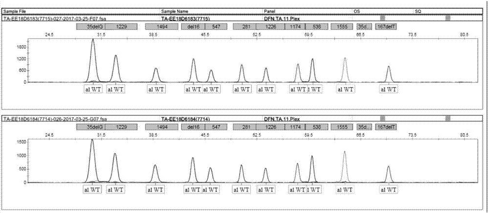 SNaPshot kit for detecting polymorphism of deafness genes of 22 sites