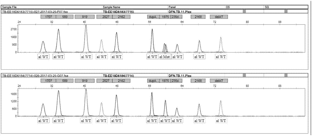 SNaPshot kit for detecting polymorphism of deafness genes of 22 sites