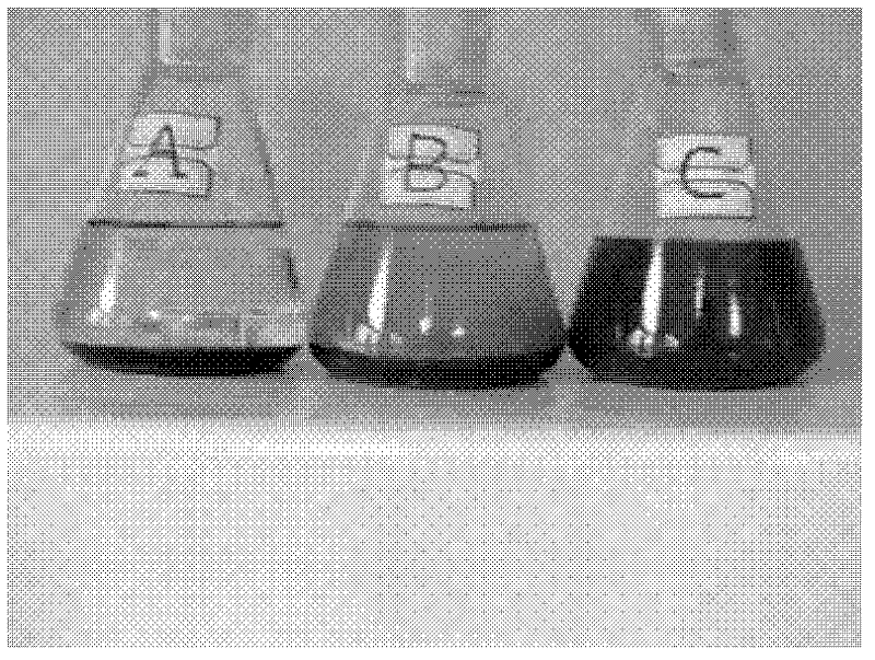 Preparation method of nanoparticle-enhanced refrigerant hydrate phase-change cold storage working medium