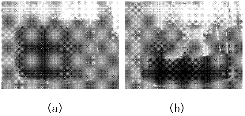 Preparation method of nanoparticle-enhanced refrigerant hydrate phase-change cold storage working medium