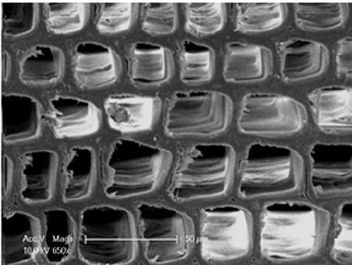 Furfuryl alcohol resin gas-phase modification method for wood material