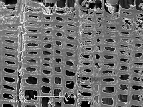 Furfuryl alcohol resin gas-phase modification method for wood material