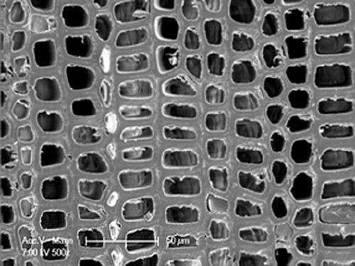 Furfuryl alcohol resin gas-phase modification method for wood material