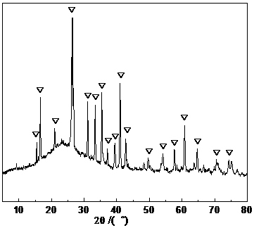 Pollution intercepting type water permeable brick and preparation method thereof