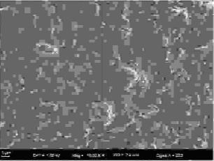 One-side coating equipment and coating method of non-woven lithium-ion battery diaphragm