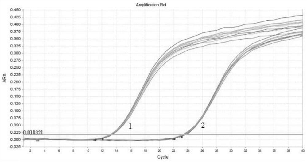 Human histamine receptor HRH1 mRNA detection primer probe set, kit and application