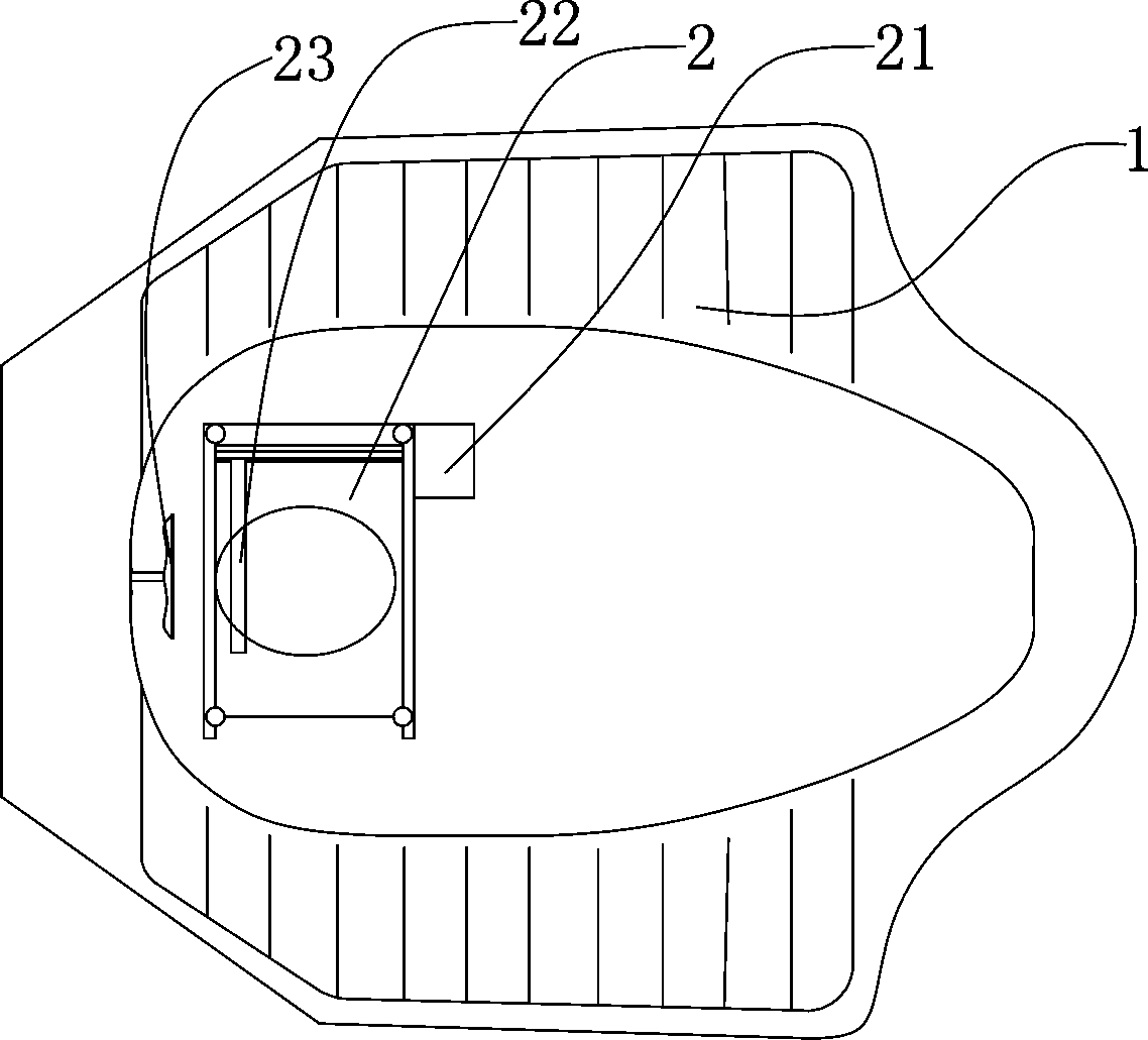 Information health check device