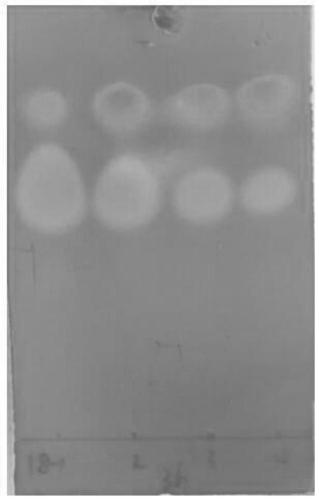 Alcohol dehydrogenase for producing Atazanavir intermediate