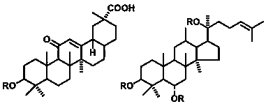 Injectable natural triterpene compound antibacterial hydrogel and preparation method thereof