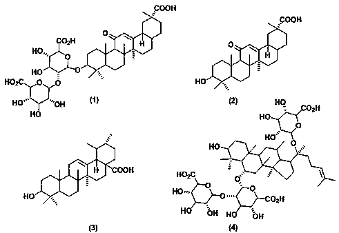 Injectable natural triterpene compound antibacterial hydrogel and preparation method thereof