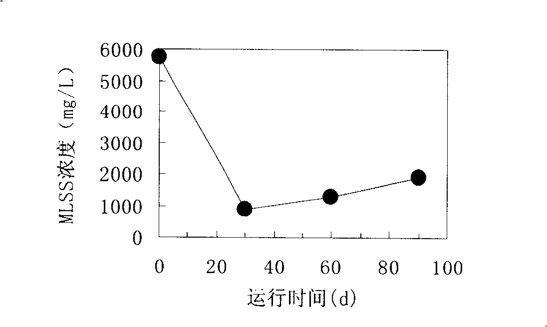 Biochemical treatment process for high-concentration ammonia-nitrogen-containing waste water