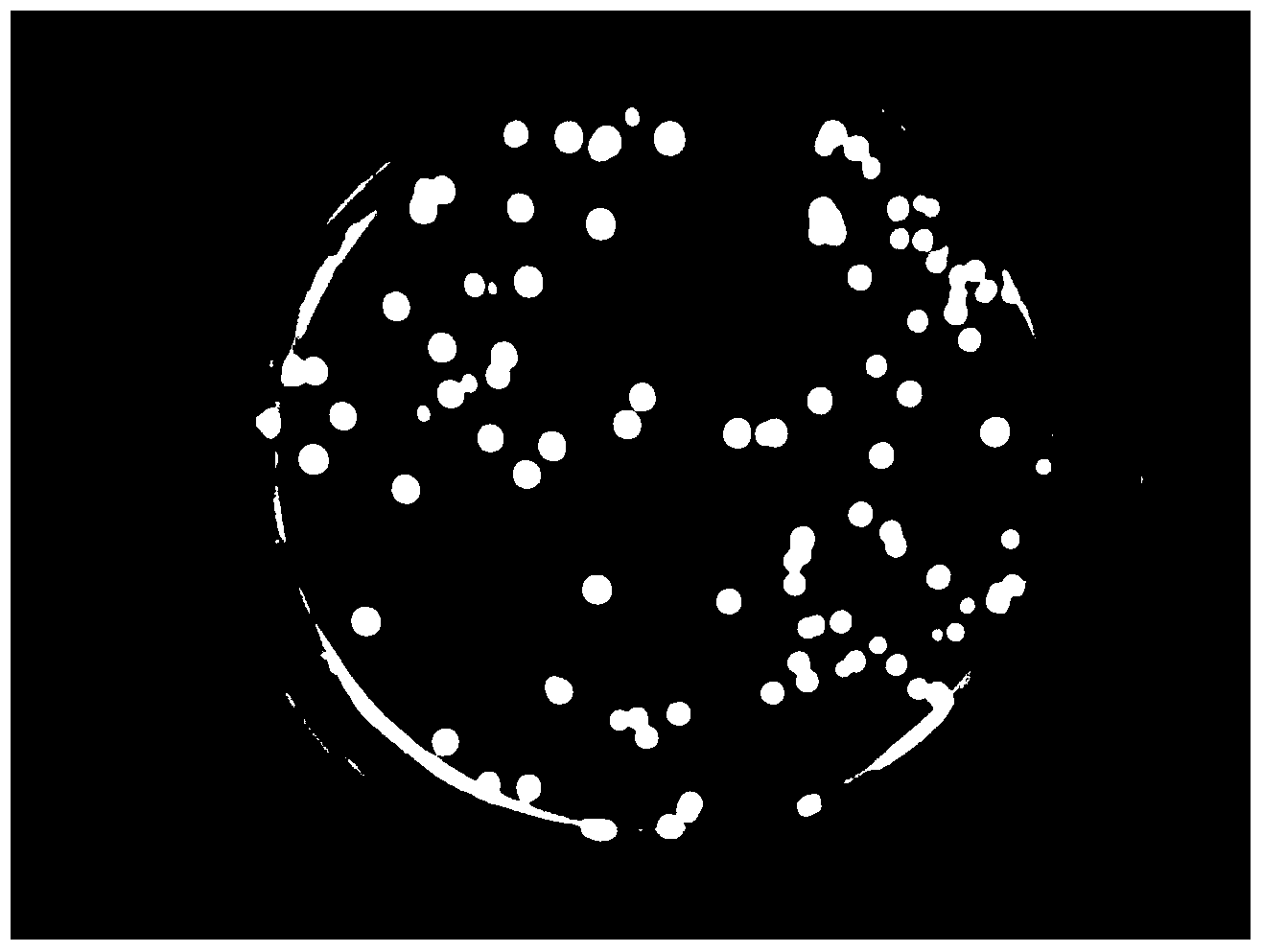 Feeding high temperature-resistant microcapsule yeast probiotics preparation as well as preparation method and application thereof