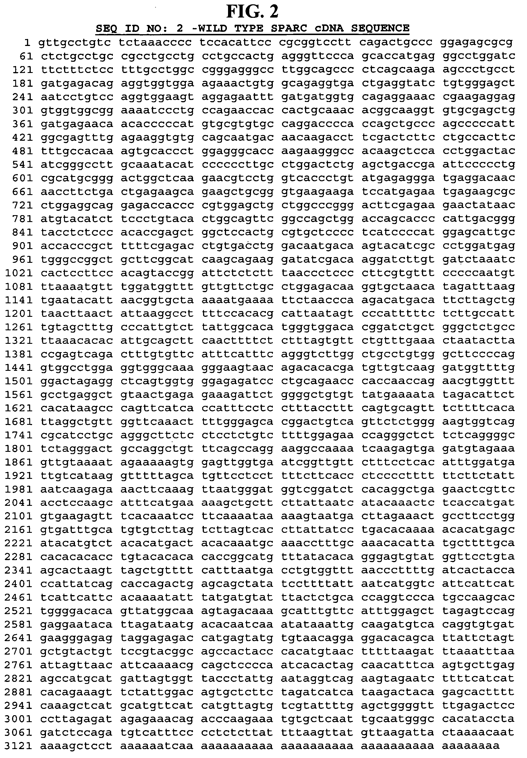 SPARC and methods of use thereof