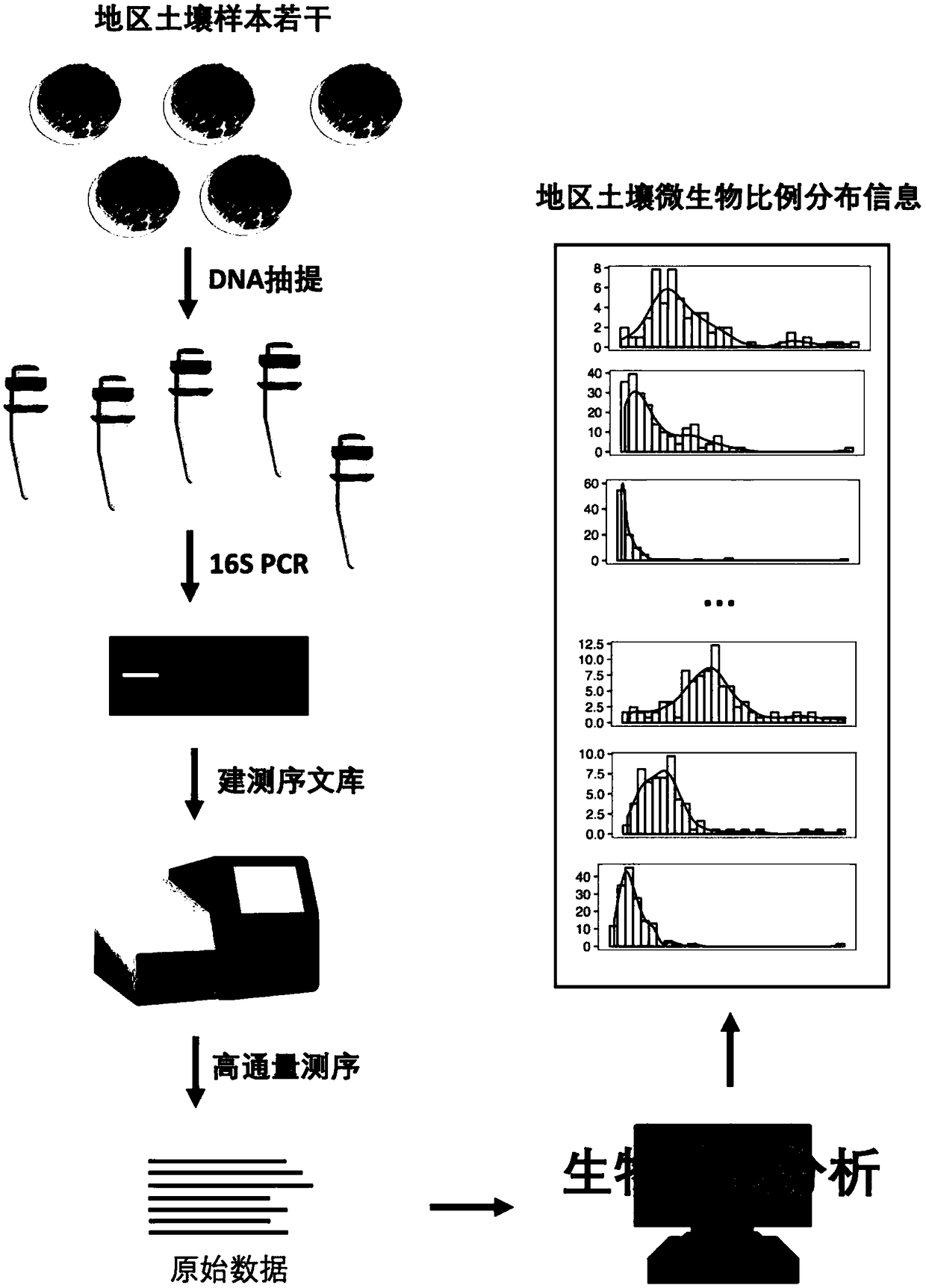 Formulating method and accurate application of microbial fertilizer dynamic inoculant formula