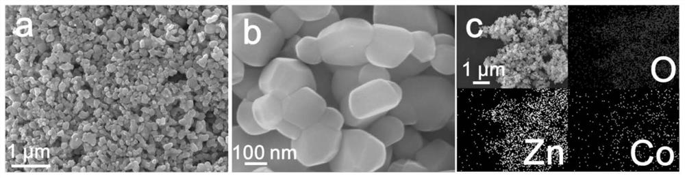 Graphene-like framework-loaded single-atom structure material and its preparation method and application