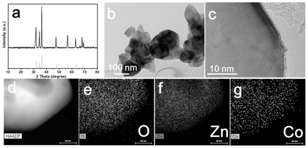 Graphene-like framework-loaded single-atom structure material and its preparation method and application