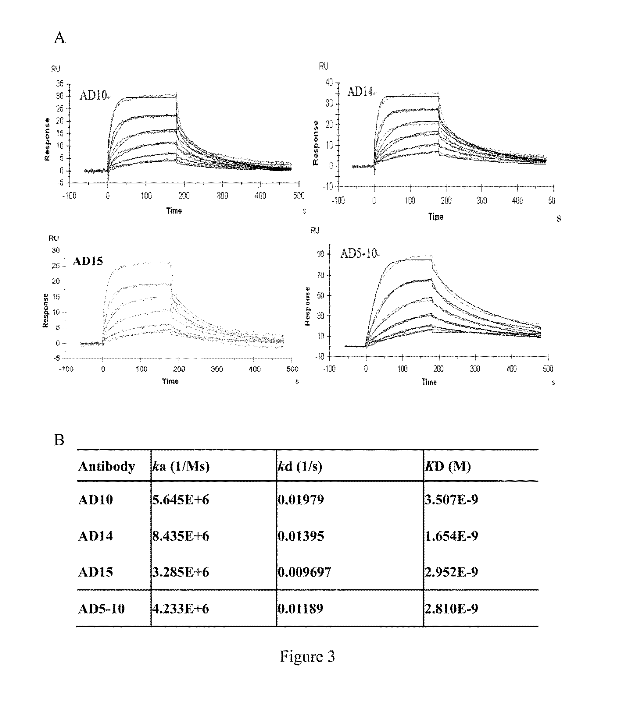 Humanized monoclonal antibodies against the extracellular domain of human death receptor 5