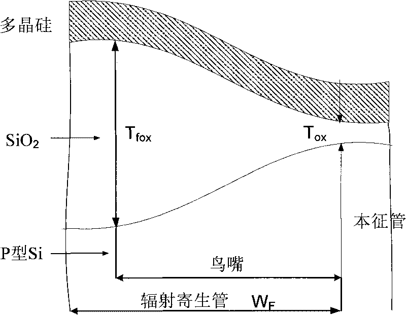 Total dose radiation hardening I-shaped gate layout structure