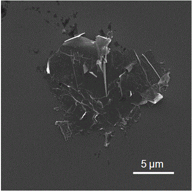 Method for preparing graphene by rotationally shearing in electric field environment