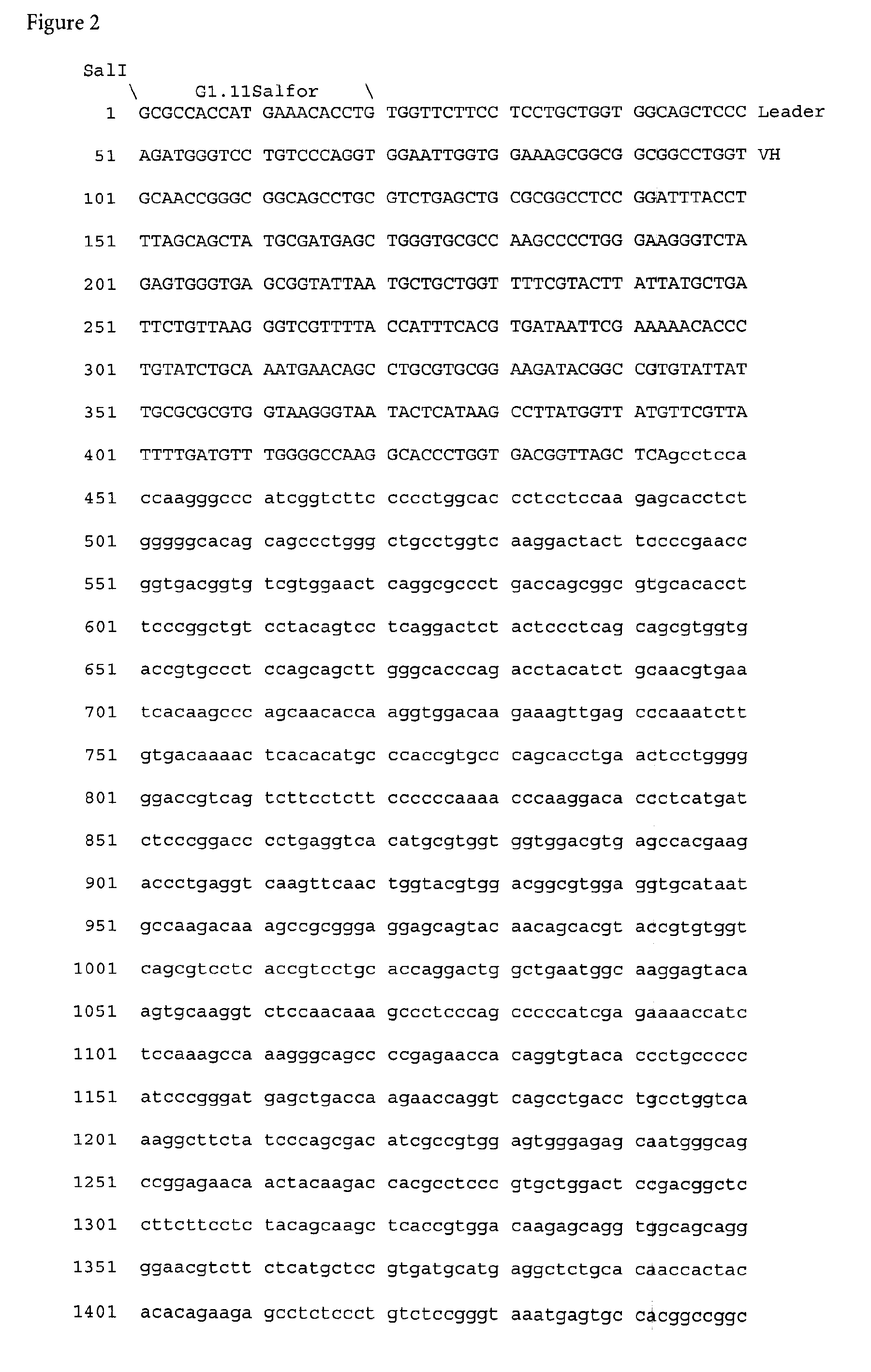 Method for producing Anti-idiotypic antibodies