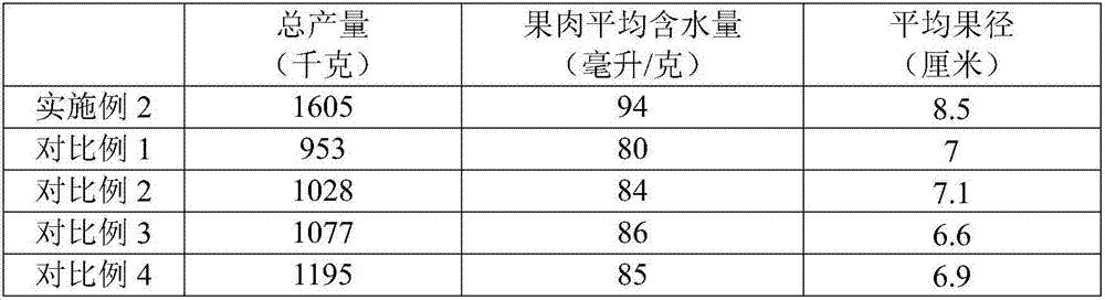 High-yield grafting method of citrus