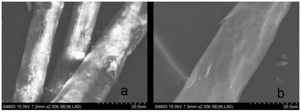 Waterborne Static Conductive Coating and Its Preparation